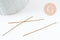 Clous tige tête boule acier doré 304 inoxydable 50mm, x10 (G9463)