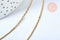 Collier chaine complète acier dorée 14k acier 305 inoxydable doré 1.7mm/45cm, x1 (G2209)