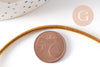 Cordon élastique doré nylon 2.5mm, x1 mètre (G10517)