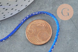 Cordon queue de rat nylon bleu roi or 1.5mm, x1 mètre (G3260)