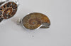 EP Pendentif argenté Coquillage naturel marron fossile, pendentif pierre, pendentif argenté, coquillage naturel, coquillage bijou,argenté, 45mm
