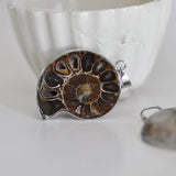 EP Pendentif argenté Coquillage naturel marron fossile, pendentif pierre, pendentif argenté, coquillage naturel, coquillage bijou,argenté, 45mm