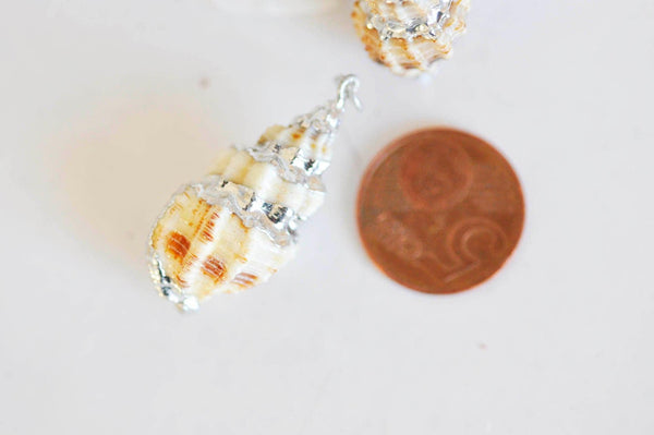 EP -Pendentif coquillage naturel argenté 35mm (G0611)