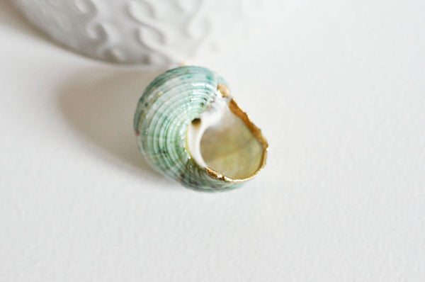 EP Pendentif coquillage naturel vert doré 25mm-G0609