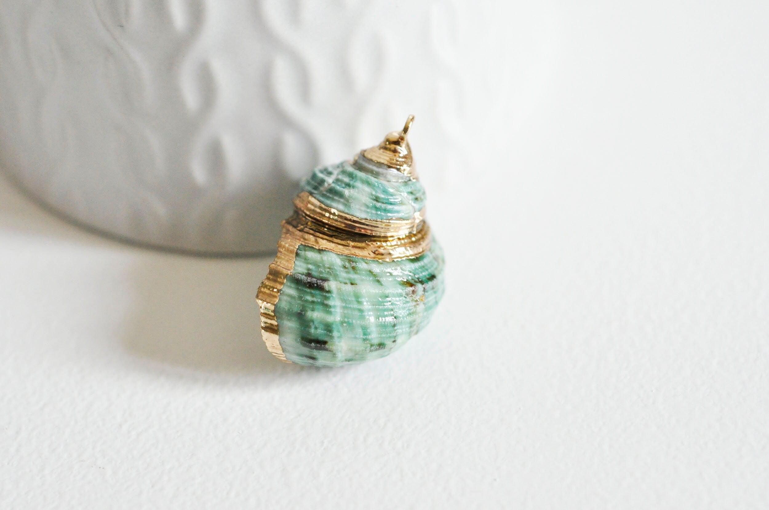 EP Pendentif coquillage naturel vert doré 25mm-G0609