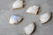 EP Pendentif corne pierre de lune naturelle 20.5mm x1 G6310