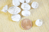 EP -Perle acrylique transparent or 13.5-27mm, x 10 G5367