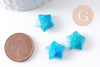 EP-Perle étoile howlite turquoise naturelle 30mm, x5 (G2397)