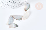 EP Perle ovale nacre marron naturelle, perle nacre carré,nacre naturelle, coquillage marron, 23-34mm,x5 G3829