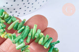 EP Perles bambou de mer naturel teinté vert,perles imitation corailcoquillage vert,fil 38cm-G0991 (adn)