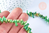 EP Perles bambou de mer naturel teinté vert,perles imitation corailcoquillage vert,fil 38cm-G0991 (adn)