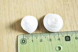 coquillage naturel blanc nacré escargot de mer Tectus Conus 4-5cm, x1 (G4164)