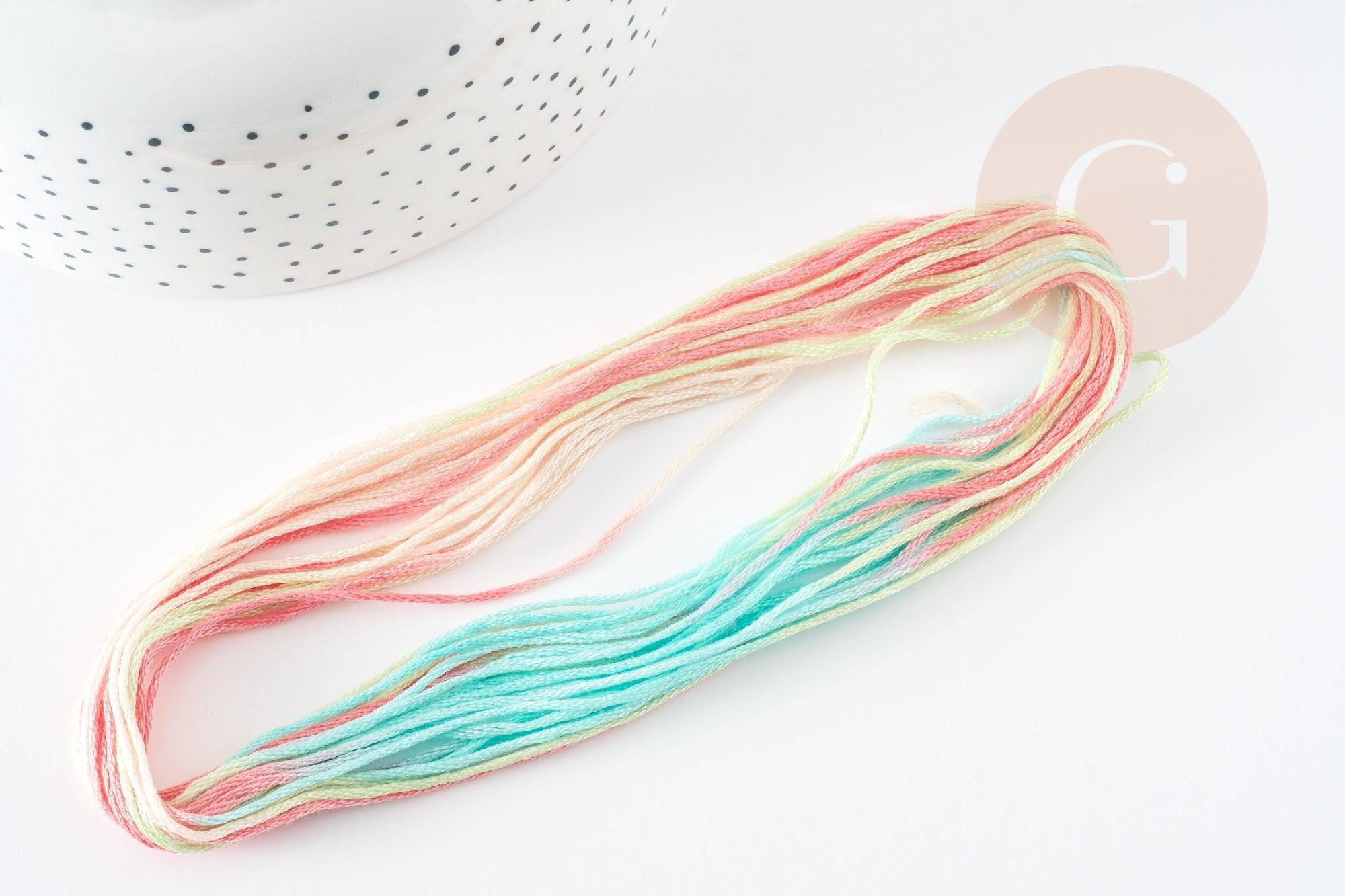 Fil à broder polyester dégradé rose turquoise 0.5mm, fil original, pour bracelet brésilien, fil à broder ou scrapbooking, x8 mètres G9357