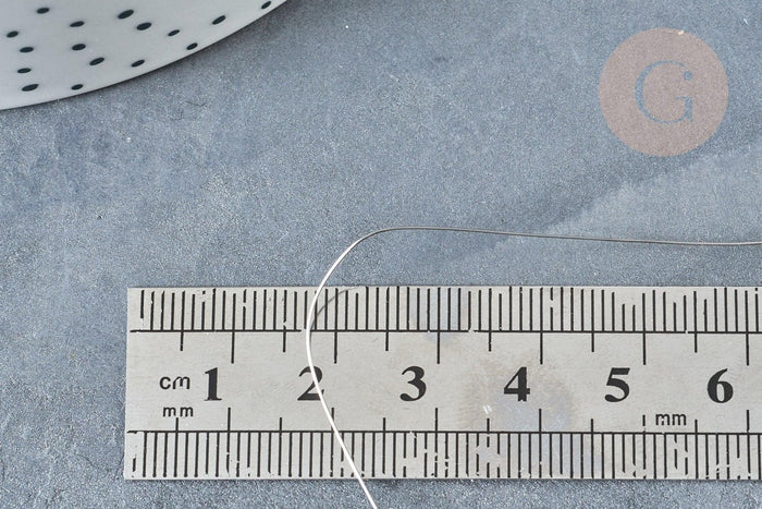 Fil d'acier inoxydable platine argenté 0.3mm, x1 Mètre (G8096)