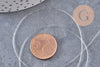 Fil élastique nylon transparent 0.8mm, x5mètres (G1534)