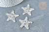 Pendentif Etoile martelé laiton platine brillant 36mm, pendentif étoile texturé, création bijoux argenté, x1 G8020