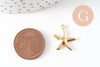 Pendentif acier 304 inoxydable doré étoile de mer 17mm, x1 (G9668)
