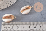 Pendentif cauri ouvert coquillage naturel doré, pendentif doré, création bijou coquillage cauri, coquillage naturel, x1,23-28mm-G2139