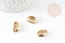 Pendentif cauri zamac doré 17mm , pendentif coquillage création bijoux x5 G0814