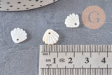 Pendentif charm coquillage nacre blanche naturelle ,pendentif coquillage nacre, 10mm, x5 (G4623)
