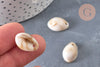 Pendentif coquillage acrylique beige marbré 19mm, perle acrylique,cauri,coquillage bijou,19mm, x10 (G5488)