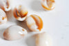 Pendentif coquillage cauri acrylique beige marbré 19mm, x10 (G5404)