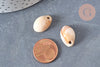 Pendentif coquillage cauri acrylique beige marbré 19mm, x10 (G5404)