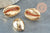 Pendentif coquillage cauri doré clair fermé,coquillage naturel,cauri doré,coquillage or,18mm,1 trou, x5 (G2851)