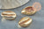 Pendentif coquillage cauri naturel doré clair20mm, x5 (G1121)