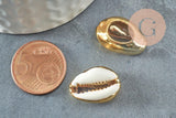 Pendentif coquillage cauri naturel doré resine blanche 19mm,création bijoux coquillage x5 (G0369)