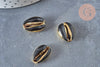 Pendentif coquillage cauri naturel doré resine noire 19mm, x5 (G0892)