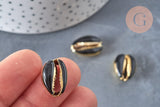 Pendentif coquillage cauri naturel doré resine noire 19mm, x5 (G0892)