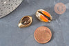 Pendentif coquillage cauri naturel doré resine orange19mm, x5 (G4406)