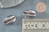 Pendentif coquillage cauris metalgun 15mm, x5 (G1231)