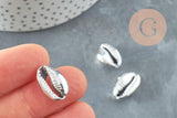 Pendentif coquillage cauris naturel argent 20mm, x5 (G1676)