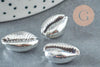 Pendentif coquillage cauris naturel argent 20mm, x5 (G1676)