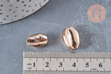 Pendentif coquillage cauris naturels or rose 20mm, x5 (G0158)