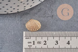 Pendentif coquillage doré 14K 13mm, x2 (G0664)
