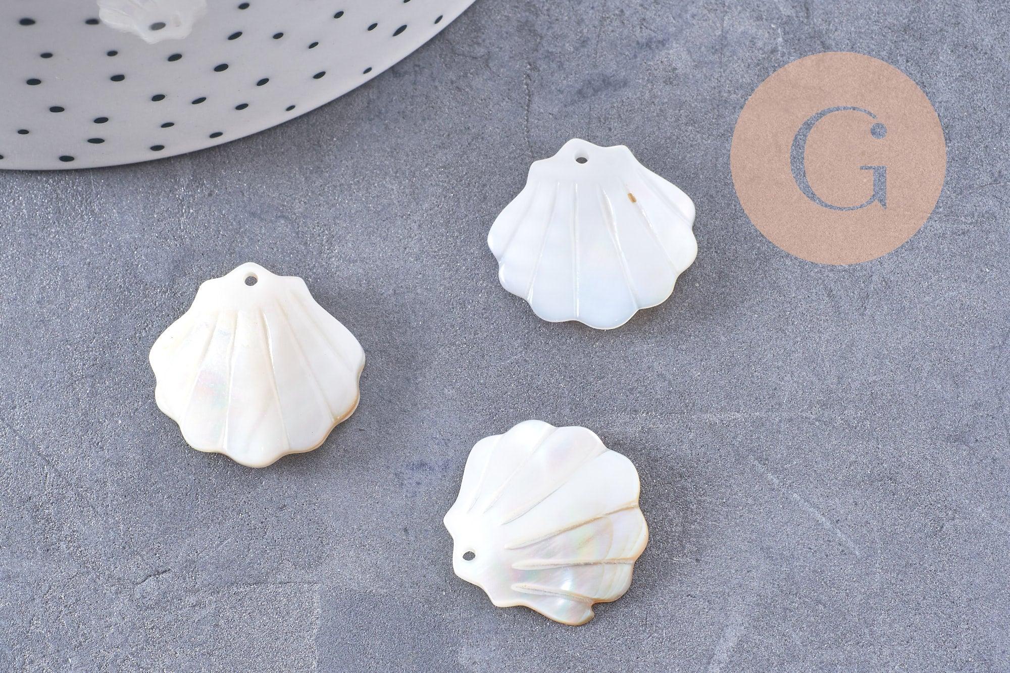 Pendentif coquillage nacre blanche naturelle irisée 21mm, x2 (G10224)