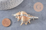 Pendentif coquillage naturel argenté 30mm, x1 (G1259)