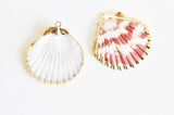 Pendentif coquillage naturel coque doré 33-54mm, x1 (G1795)