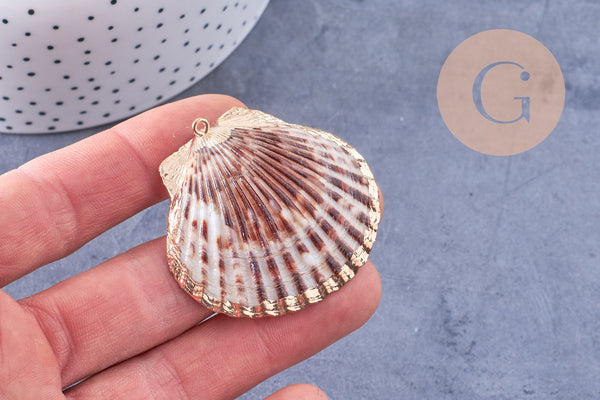 Pendentif coquillage naturel coque doré 40-51mm, x1 (G7163)