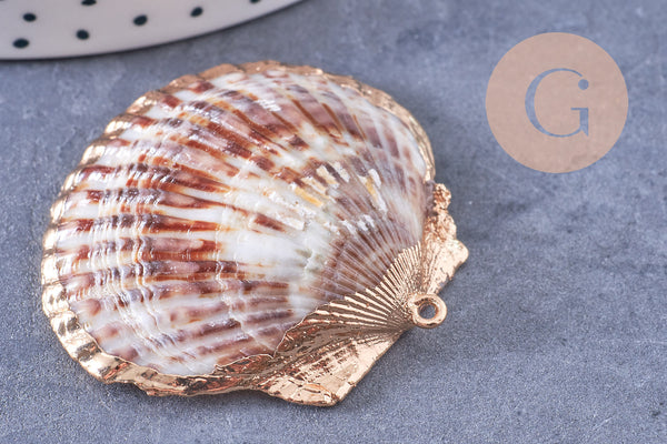 Pendentif coquillage naturel coque doré 40-51mm, x1 (G7163)