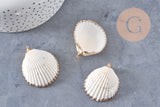 Pendentif coquillage naturel coque doré 42mm, x1 (G0873)