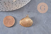 Pendentif coquillage naturel coque doré, fourniture créative, pendentif doré, création bijoux, coquillage bijou,coquillage or,21-25mm-G1342
