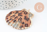 Pendentif coquillage naturel coque doré léopard 41-55mm, pendentif doré pour création bijoux or, x1 G1735