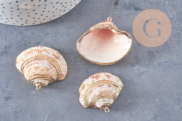 Pendentif coquillage naturel coque doré,pendentif doré, création bijoux, coquillage bijou,coquillage or,29-41mm, x 2 G5143