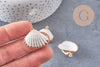 Pendentif coquillage naturel coque laiton doré 21-25mm, x1 (G6464)