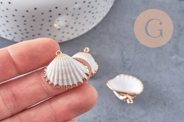 Pendentif coquillage naturel coque laiton doré 21-25mm, x1 (G6464)