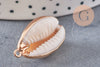 Pendentif coquillage naturel doré, pendentif doré, coquillage Conch bijou, coquillage naturel, 23mm, x1 G0890